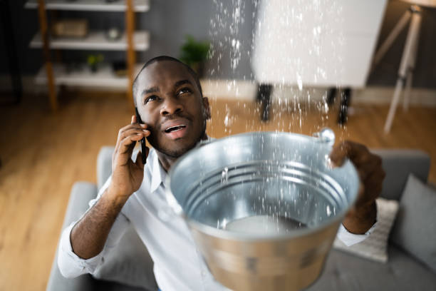 Best Fire Damage Restoration  in Garberville, CA