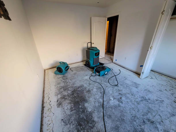 Best Sewage cleanup and water damage restoration  in Garberville, CA
