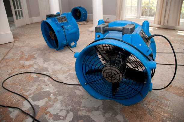 Best Water damage restoration specialists  in Garberville, CA