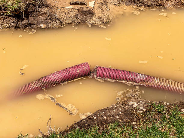 Best 24/7 water damage repair  in Garberville, CA
