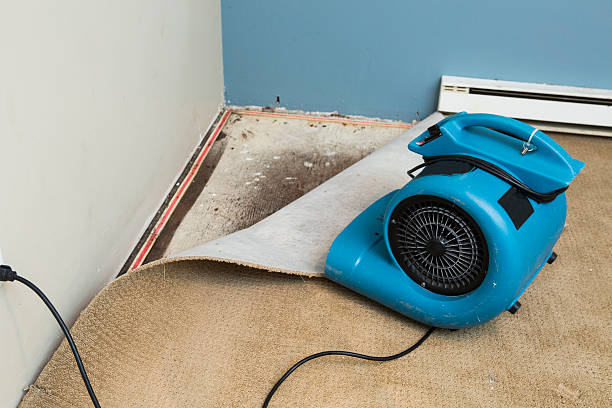 Best Water damage restoration process  in Garberville, CA